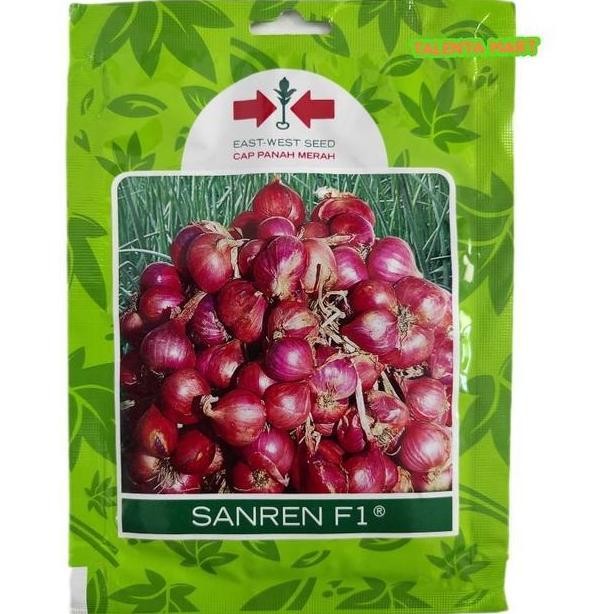 

Terlaris Efisien Benih/Bibit Bawang Merah Sanren F1 Exp 2025