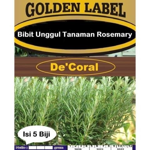 

Terlaris Best Bibit Unggul Tanaman Rosemary Benih