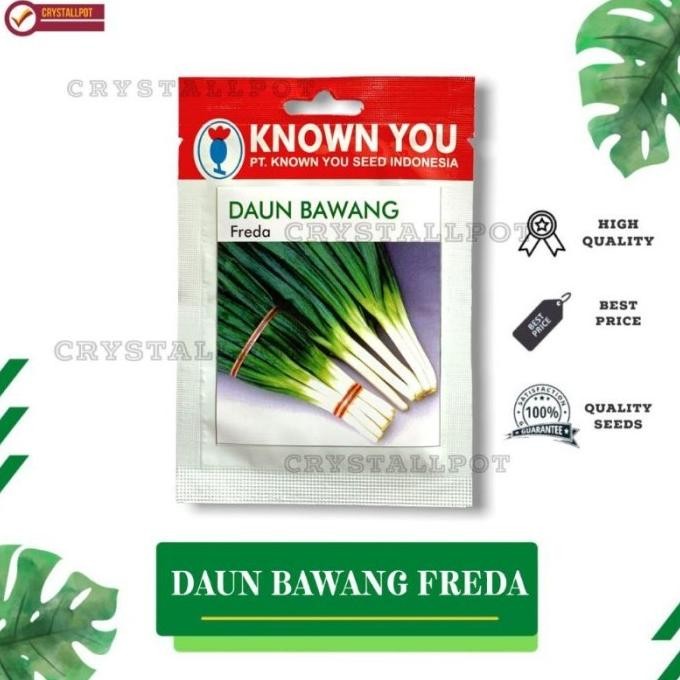 

Terlaris Benih Bibit Daun Bawang Freda Known You Seed - Kys Freda Kemasan Merah