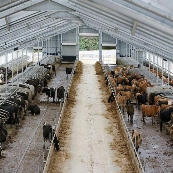 

Terlaris Bacter9 Pupuk Kandang Kambing Fermentasi - Kohe