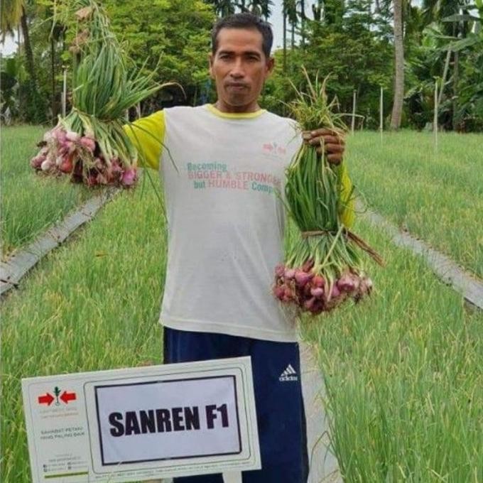 

Terlaris Panah Merah 100 Biji - Benih Bawang Merah Sanren F1 - Bibit Sayuran