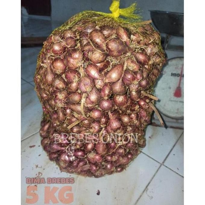 

Terlaris Ready Bibit Bawang Merah Asli Brebes 5 Kg