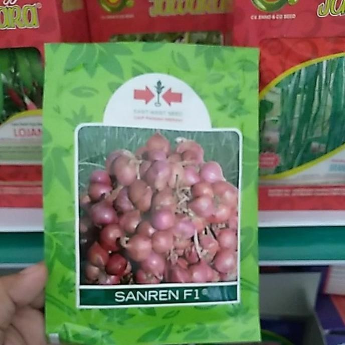 

Terlaris Terlaris Benih Bawang Merah Sanren F1 10G Bibit Bawang Merah Murah!!! Murah