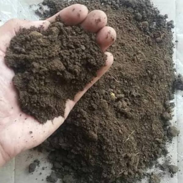 

Terlaris Asli!! [ Bayar Di Tempat ] Pupuk Kandang Sapi Fermentasi 1 Kg