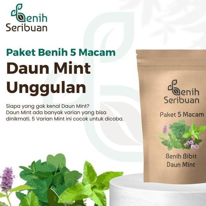 

Terlaris Bibit Daun Mint Paket 5 Macam Benih Peppermint Sayuran Organik Lengkap