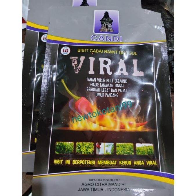|| BANANA / Benih cabe VIRAL 10 gram cabe rawit viral 10gr dari agro citra mandiri ||~~~