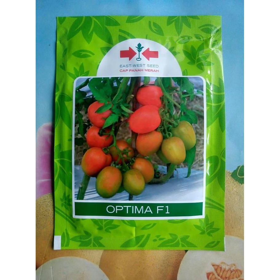 || BANANA / Benih Bibit Tomat Hibrida OPTIMA F1 1750 Biji ||~~~