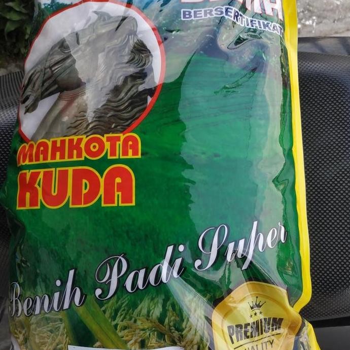 || BANANA / Benih Padi Inpari 32 Jumbo Premium Bibit Unggul ||~~~