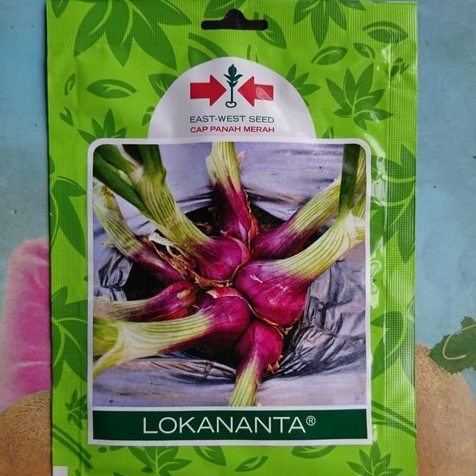 

Terlaris Benih Bibit Bawang Merah Lokananta 800Bj