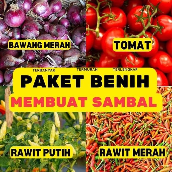 

Terlaris Paket Hemat 4 Benih Sambal Bibit Sayuran Tomat Bawang Merah Cabe Merah Cabe Rawit Bibit Berkebun Dirumah