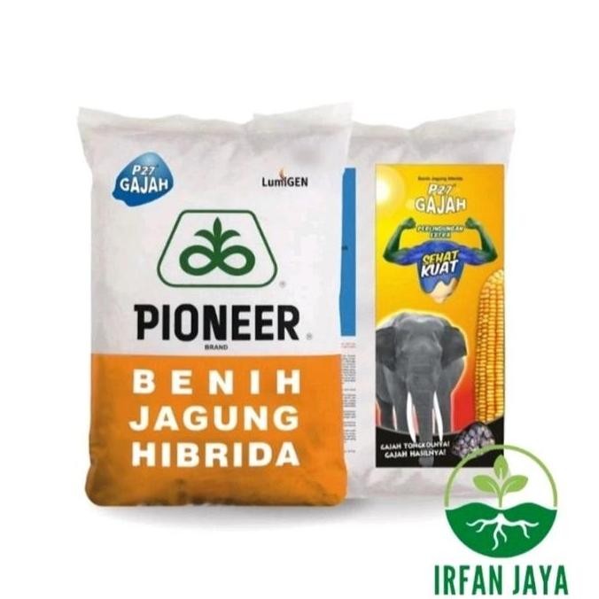 || BANANA / Benih jagung Pioneer P27 gajah lumigen ||~~~