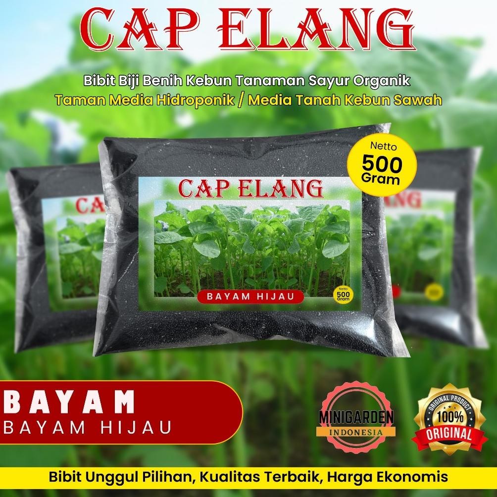 

BAYAM HIJAU 500 GRAM CAP ELANG biji benih bibit bayam hijau cabut