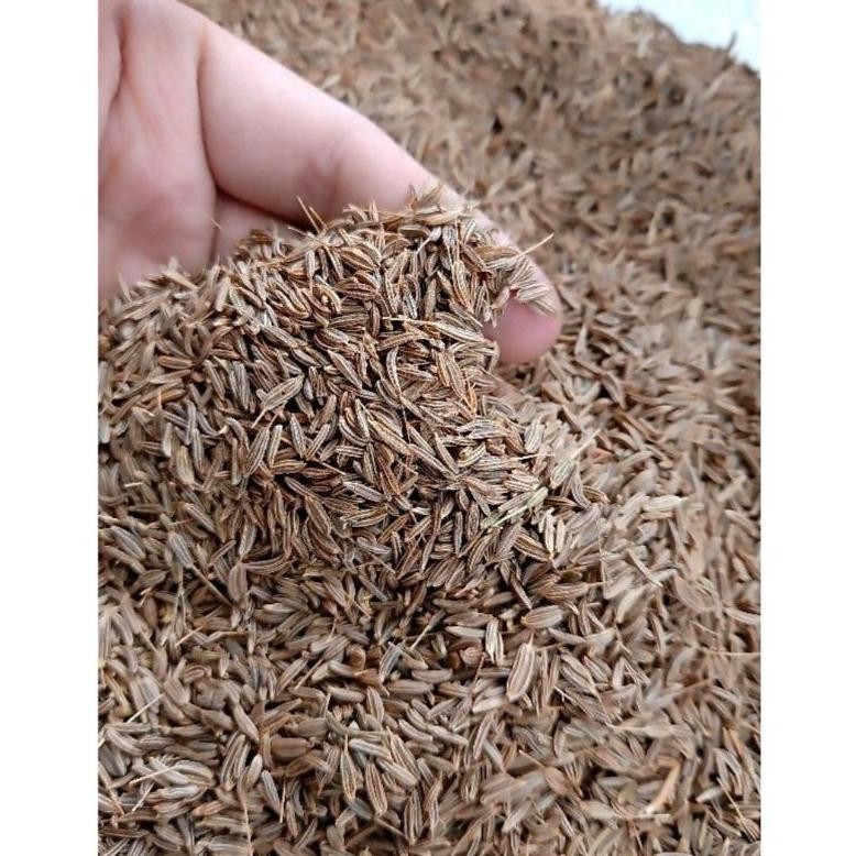 

500GR JINTAN / JINTAN WANGI /CUMIN / CARAWAY / REMPAH / JSR 100% PREMIUM