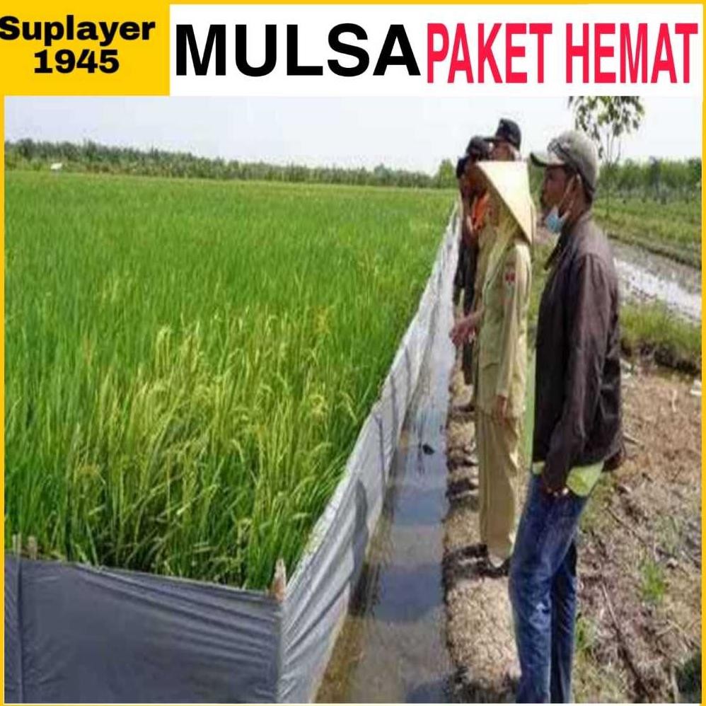 Plastik MULSA 1 ROLL hitam/perak ( Panjang 250 meter x Lebar 1,2 meter ) ROLL