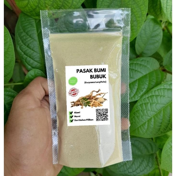 

Serbuk Bubuk Pasak Bumi Isi 100 Gram