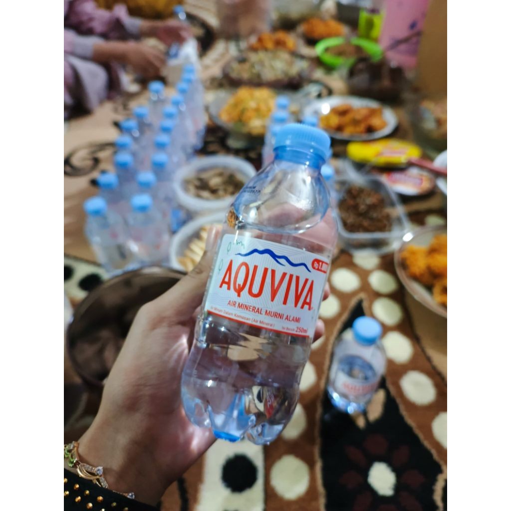

Air mineral Aquviva botol 250ml isi 24/slov