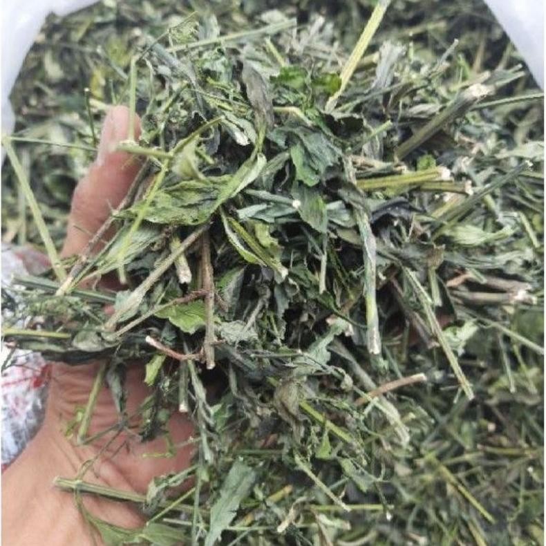 

sambiloto sambiroto cacah kering hijau 100 gram