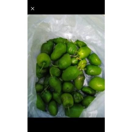 

Bahan Terbaik Cabe Gendot Bandung Cabai Bendot Fresh 500Gr