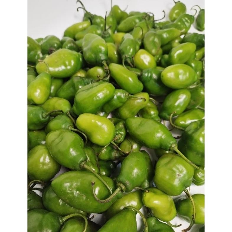 

Free Ongkir Cabe Gendot Hijau 1 Kg - Dipetik Langsung Dr Kebun