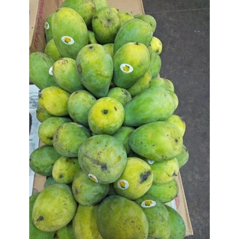 

Mampu Bersaing Mangga Harum Manis/400 Gr/900 Kg