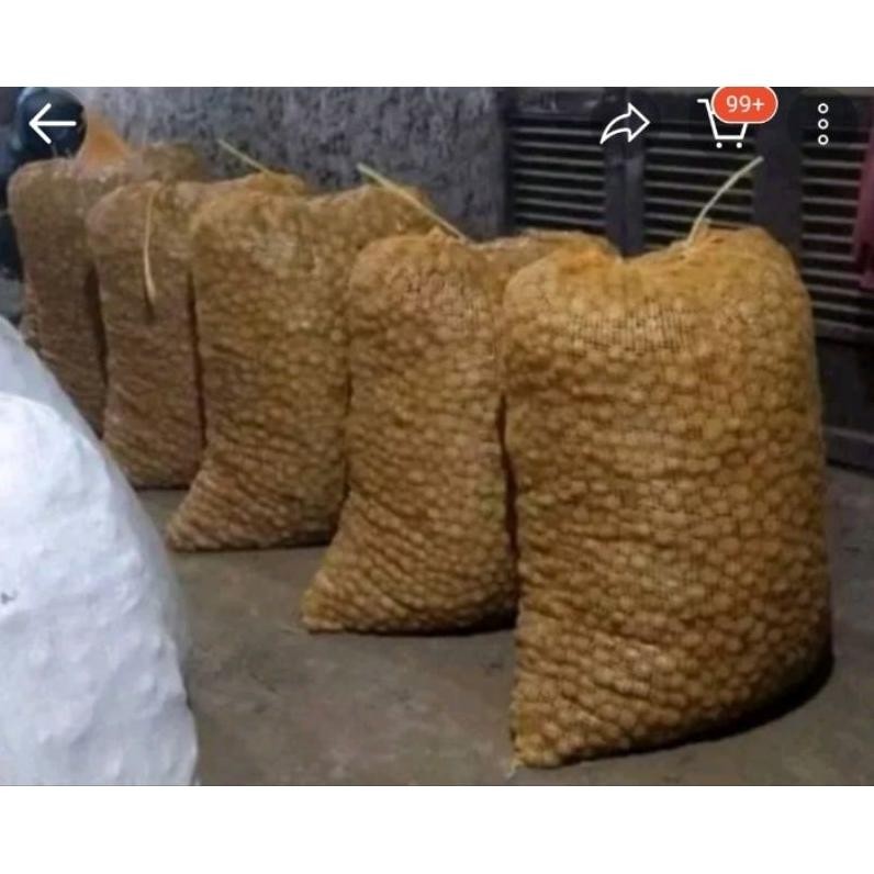 

Revolusioner Kentang 1 Kg Freesss