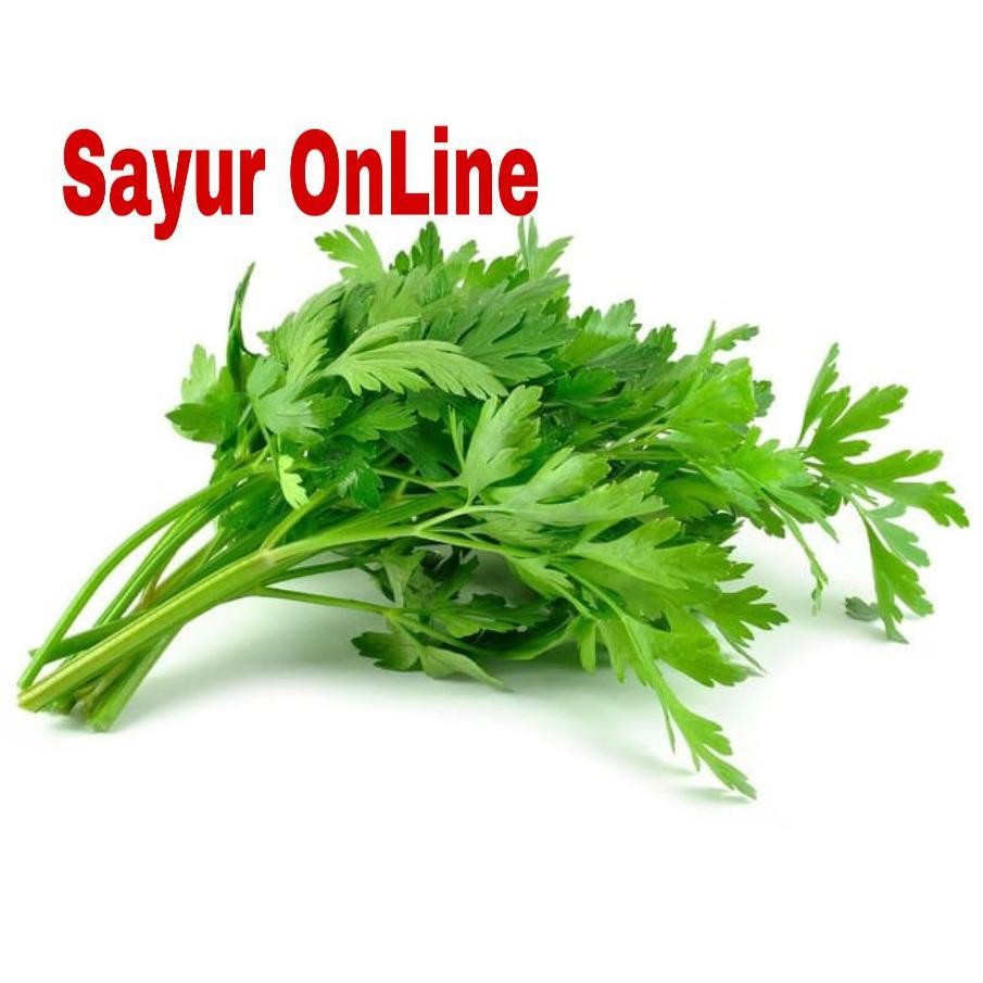 

Kualitas Terbaik Seledri Daun Sledri Segar Daun Sop 100 Gram