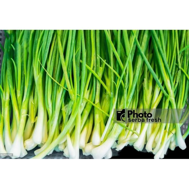 

Paling Laris Daun Bawang | 250Gr | Serba Fresh