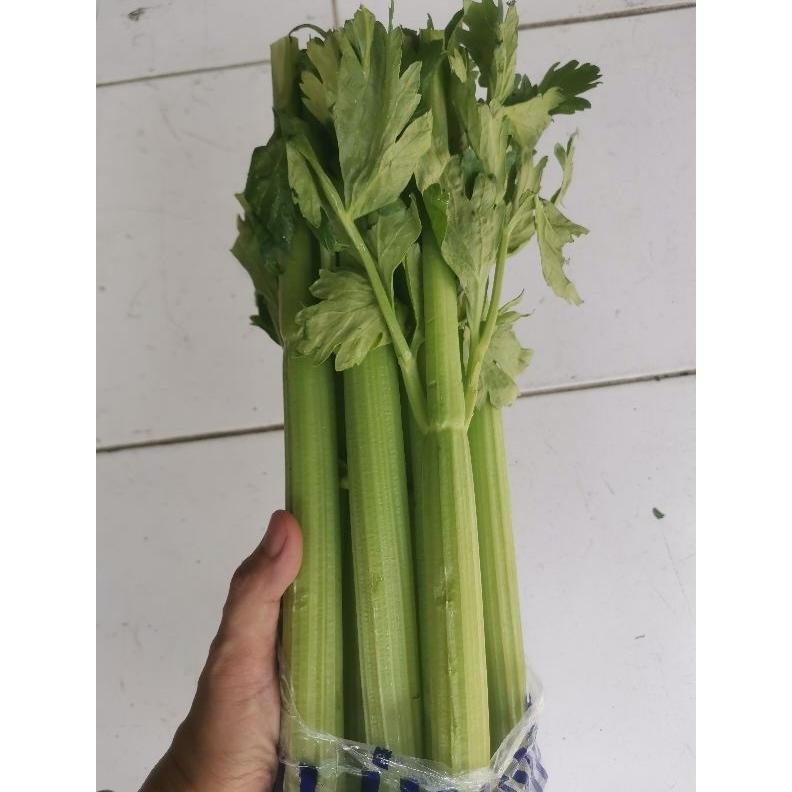 

Paket Celery Stick Import - Celery Stick 1Kg - Seledri Batang - Fresh Per Kg