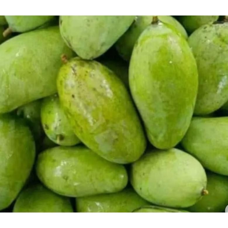 

Kualitas Terbaik Mangga Muda 1 Kg