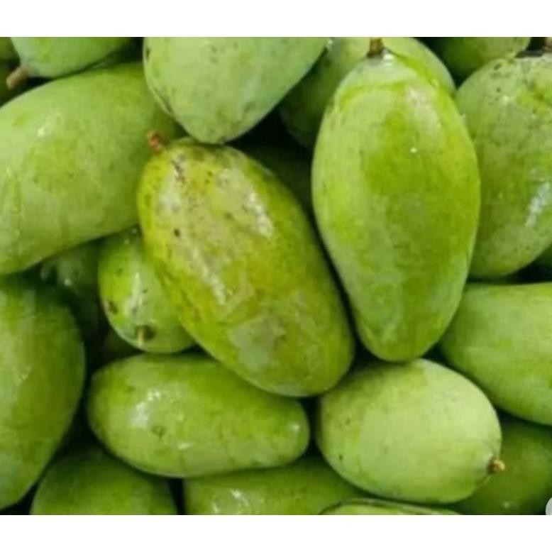 

Pilihan Tepat Mangga Muda 1 Kg