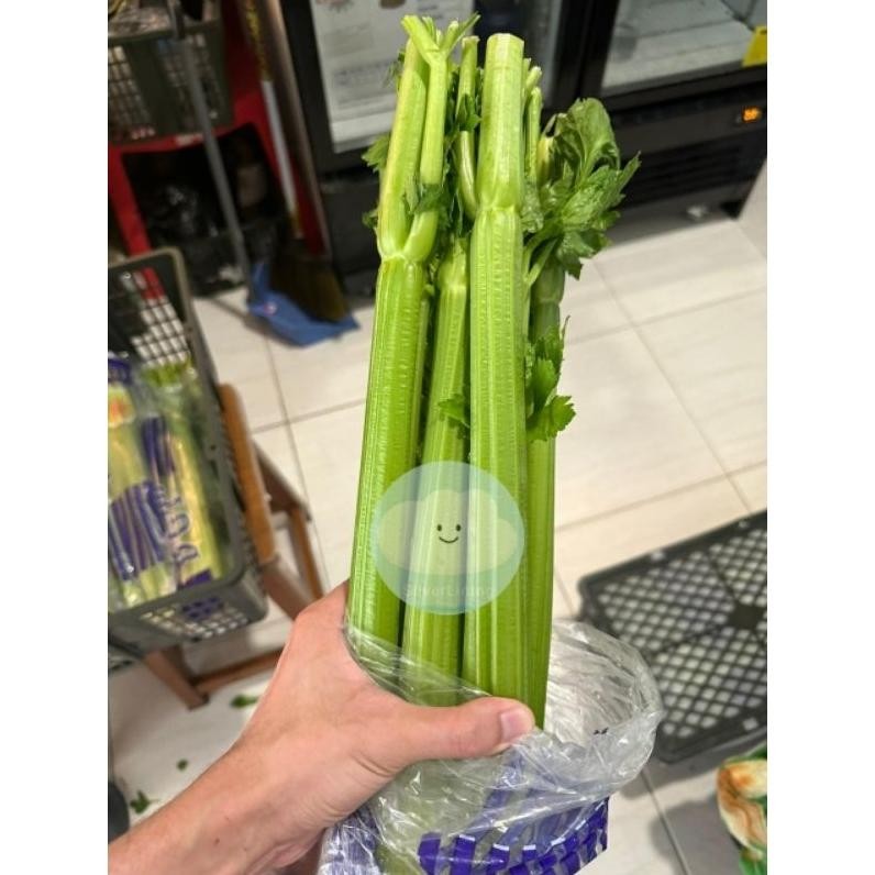 

Harga Terjangkau Celery Stick Seledri Stik Impor Per 1Kg