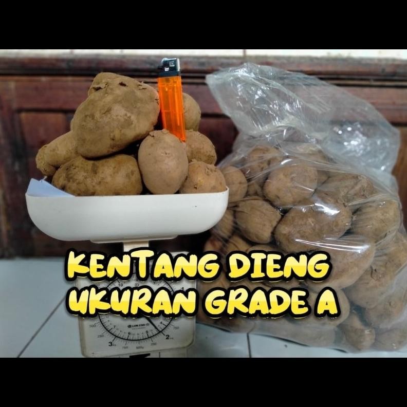 

Solusi Kentang Dieng ( Potato ) Besar Dan Sedang ( Mix/Campur )