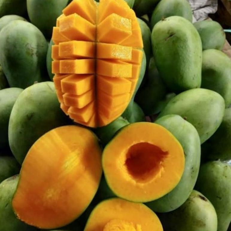 

Mampu Bersaing Mangga Harumanis Matang Tua Pohon 1Kg