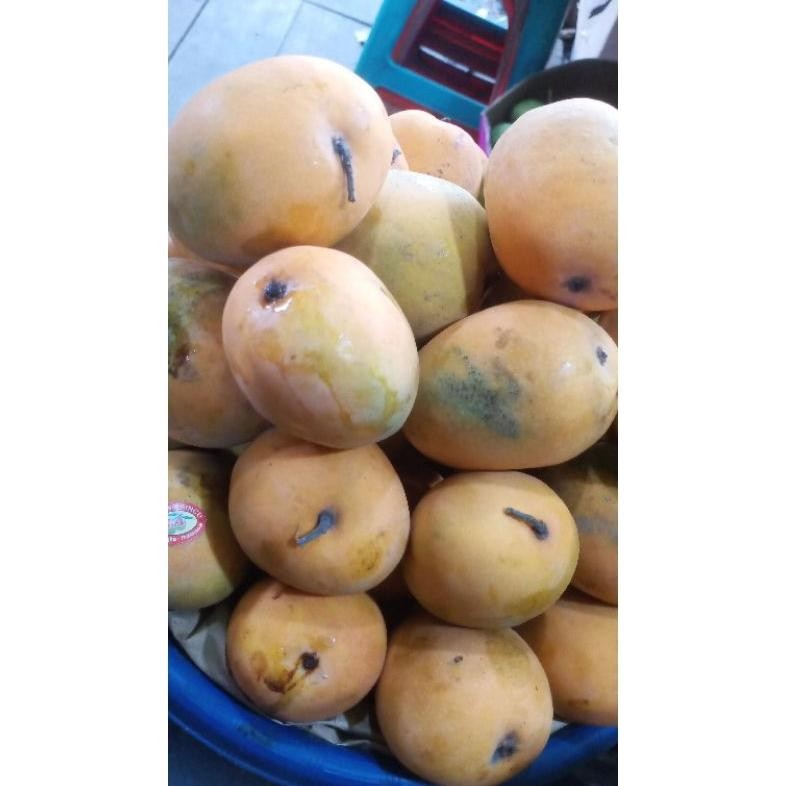 

Good Quality Mangga Gedong Fress Manis1Kg
