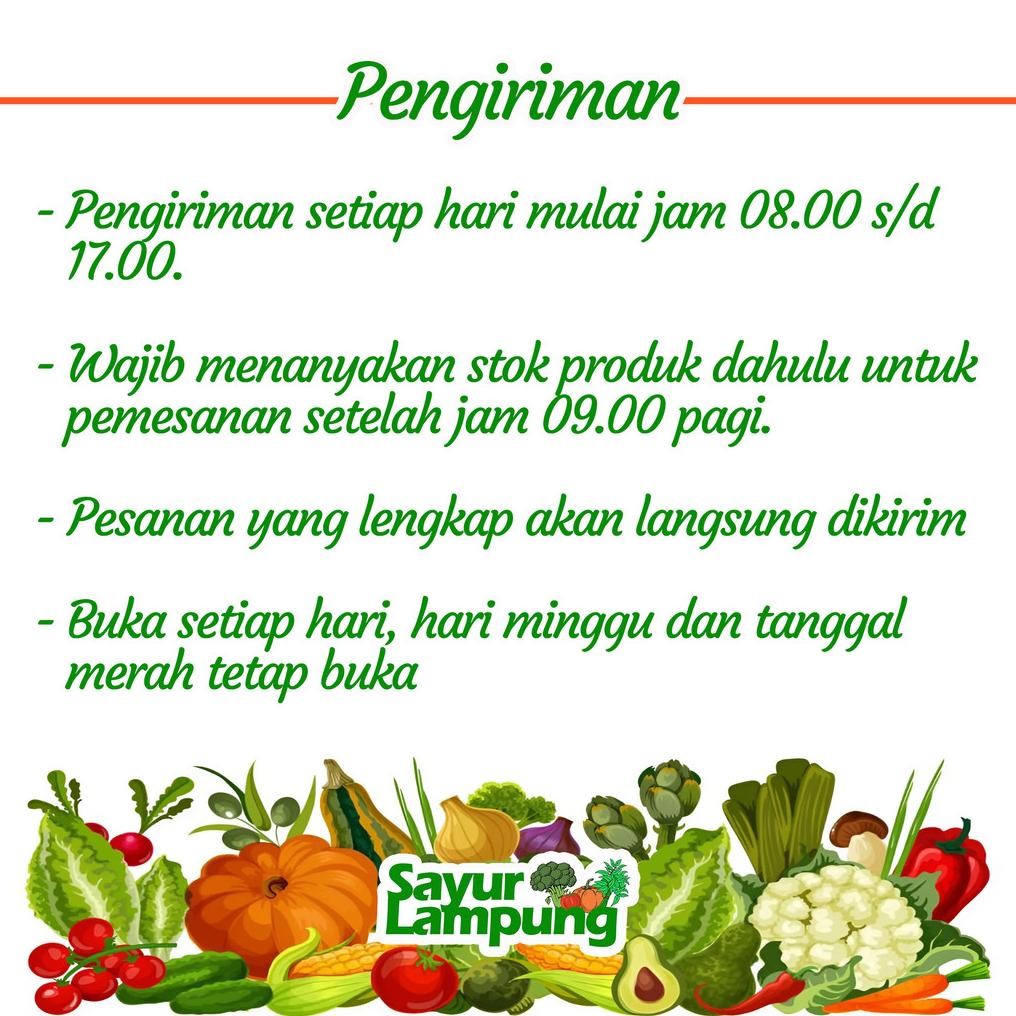 

Segera Kentang 250 Gr - Sayur Lampung