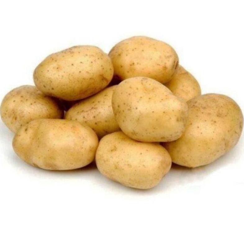 

Harga Terjangkau Kentang Besar 500Gr