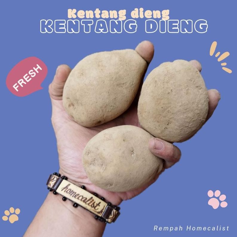 

Tersedia Sekarang Kentang Segar 1Kg Kentang Dieng