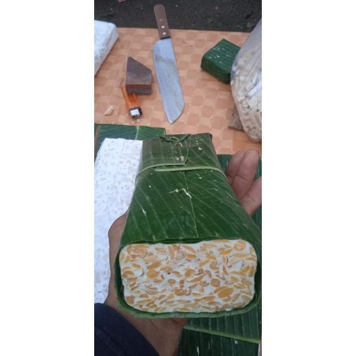 

Solusi Tempe Besar Value 450 - 600Gr