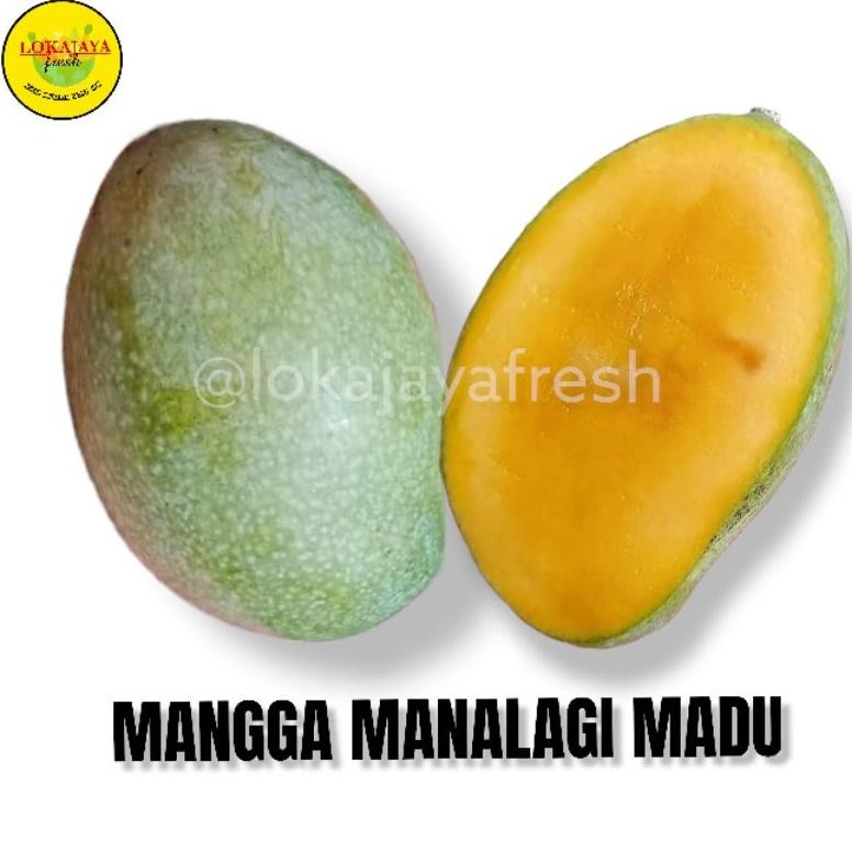 

Trendi Mangga Manalagi Manis 1 Kg