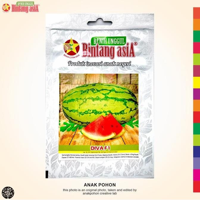 (1 PACK) Benih Semangka DIVA F1 Lonjong Kulit Hijau Berlurik Daging Merah Manis Berbiji Hibrida Seed