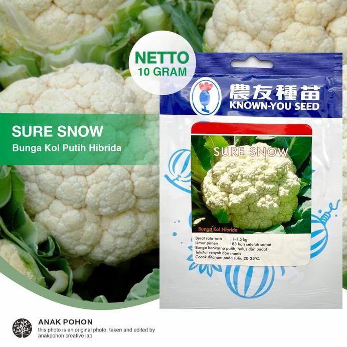 

( 1 PACK ) Benih Kembang Kol Hibrida SURE SNOW - Known You Seed murah