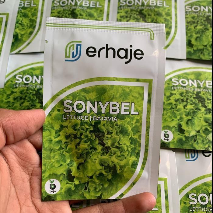 Benih selada batavia SONYBEL bejo seed Promo