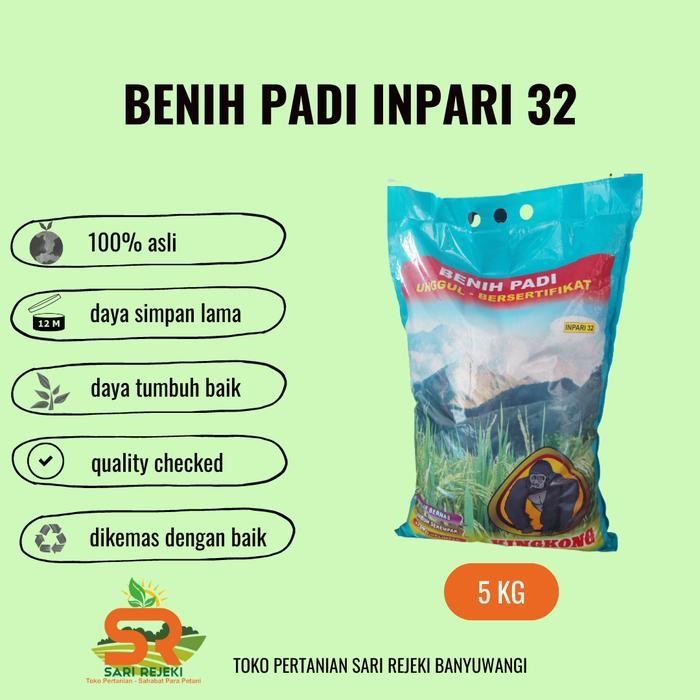 BENIH PADI KINGKONG INPARI 32 5KG Diskon