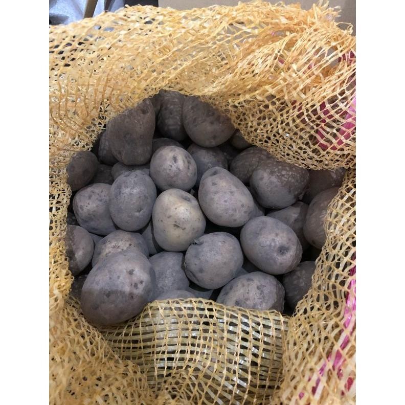 

Momen Spesial Kentang Potato Ukuran B Kemasan 1Kg (Isi 7-11 Biji)