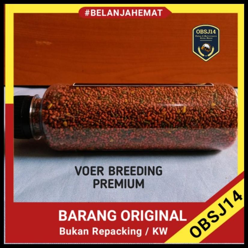 VOER HATTRICK VOER BREEDING BERTERNAK PLECI
