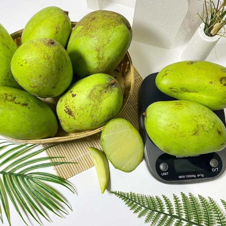 

Fungsi Mangga Muda Rujak Super 1 Kg | Buah Segar Fresh
