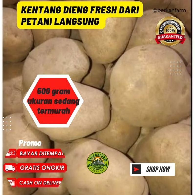 

Eksklusif Kentang Dieng 500Gram Segar Kualitas Terbaik Khas Wonosobo