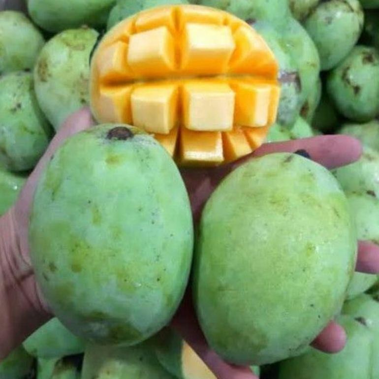 

Bisa Disesuaikan Mangga Indramayu / Harum Manis / Manalagi 1Kg