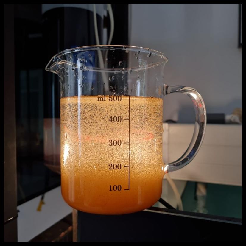 ARTEMIA SIENNA BY FISHOWNER 50G BIG RED - ARTEMIA TETAS