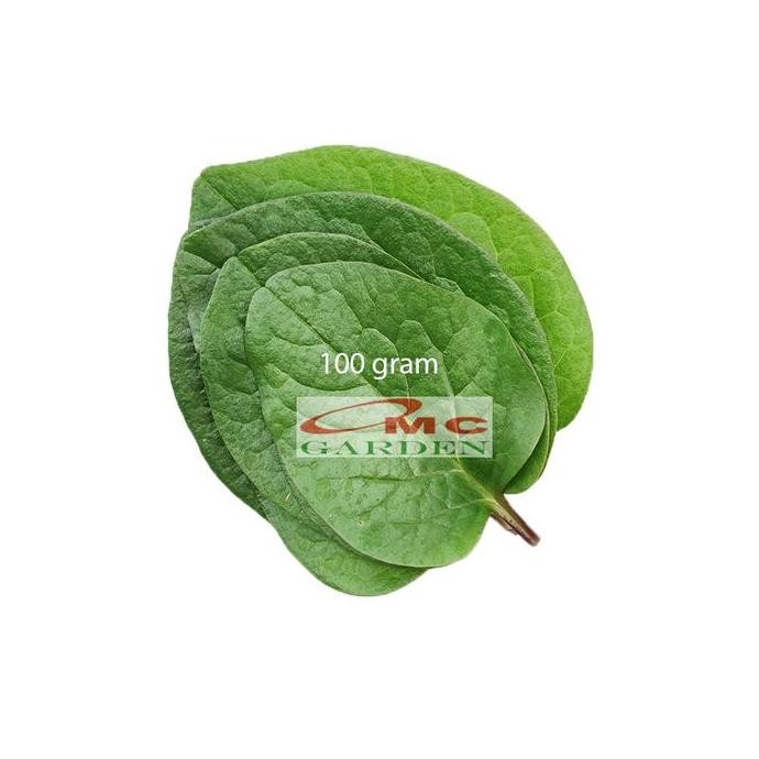 

Daun Binahong Merah Hijau Tanaman Piahong Obat Herbal Organik Segar Fresh Tanpa Pestisida 100 Gram Produk Lengkap